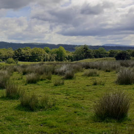 Glenvernoch