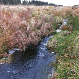 Burn from Glenmalloch Hill