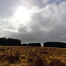 Knockman Wood from Knockman moor