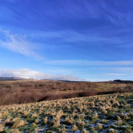 Looking across to Blair Hill, Benailsa and Rig of Glenmalloch, from Barclye RSPB Wood of Cree reserve