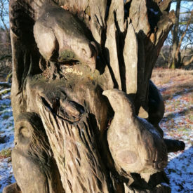 Wood of Cree RSPB Reserve old tree-stump carving depicting local Black Grouse