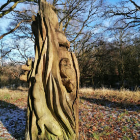 Wood of Cree RSPB Reserve old tree-stump carving depicting local wildlife - Otter, Red Squirrel, Tawny Owl & Black Grouse