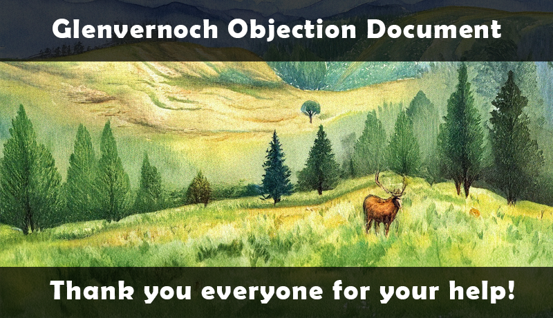 Glenvernoch Objection Document